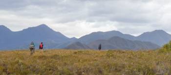 Trekking towards the Ironbound ranges on the South Coast Track | John Dalton