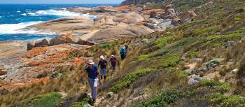 Spectacular coastal walking on Flinders Island | Andrew Bain