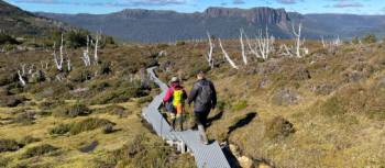 Enjoy the many side walks along the Overland Track | Brad Atwal