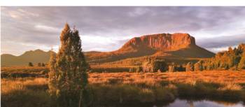 Mount Pellion West, Overland Track | Peter Walton