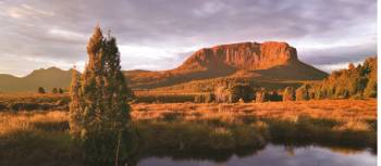 Mount Pellion West, Overland Track | Peter Walton