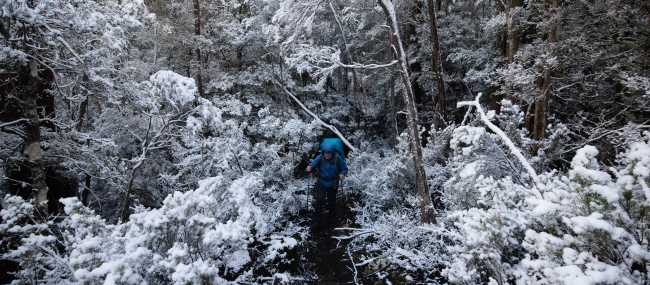 Experience the Overland Track during winter | Matt Horspool